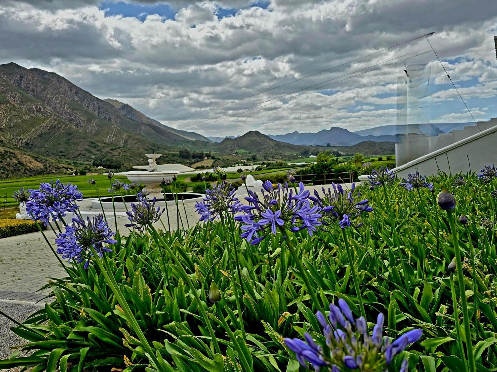 Pjure Boutique Hotel & Spa モンタギュー エクステリア 写真