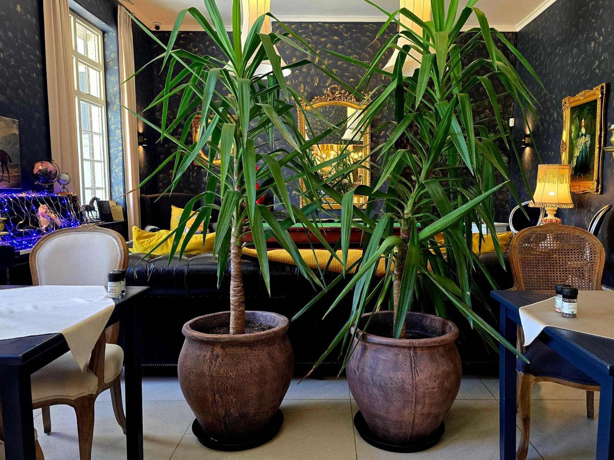 Pjure Boutique Hotel & Spa モンタギュー エクステリア 写真